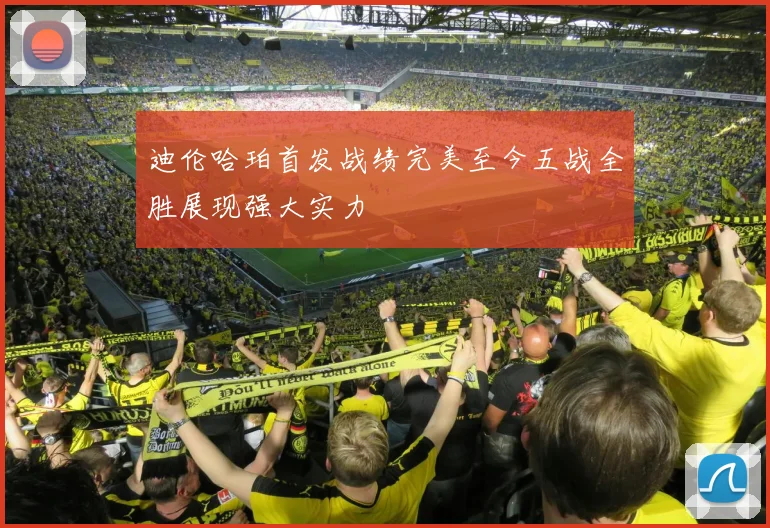迪伦哈珀首发战绩完美至今五战全胜展现强大实力